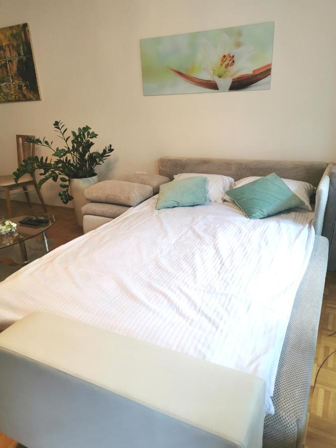 Cozy Apartment Ljubljana With Free Parking And Balcony المظهر الخارجي الصورة