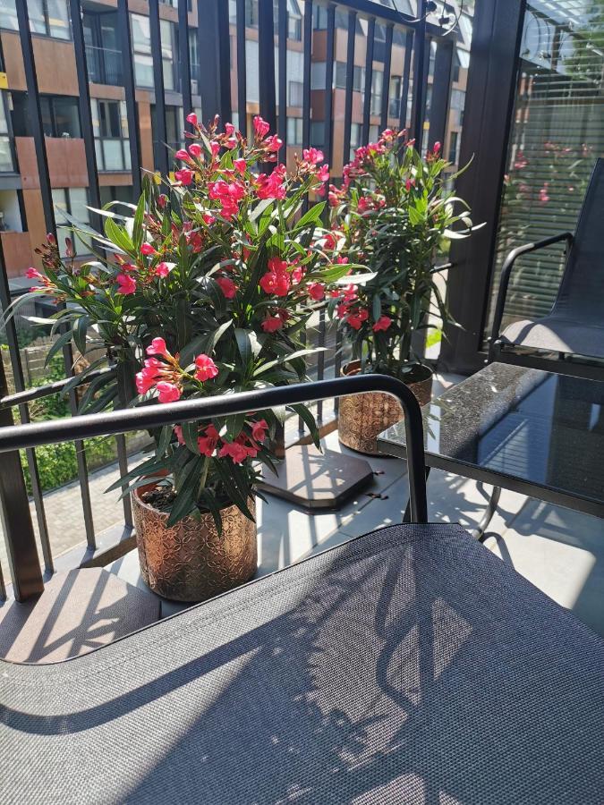 Cozy Apartment Ljubljana With Free Parking And Balcony المظهر الخارجي الصورة